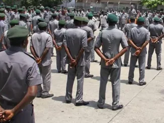 Nigerian Customs Service Recruitment 2024/2025 | Application Guide/https://recruitmenthorizon.net/