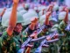 Nigerian Army 89RRI Recruitment Portal 2025/2026 | Application Guide/https://recruitmenthorizon.net/